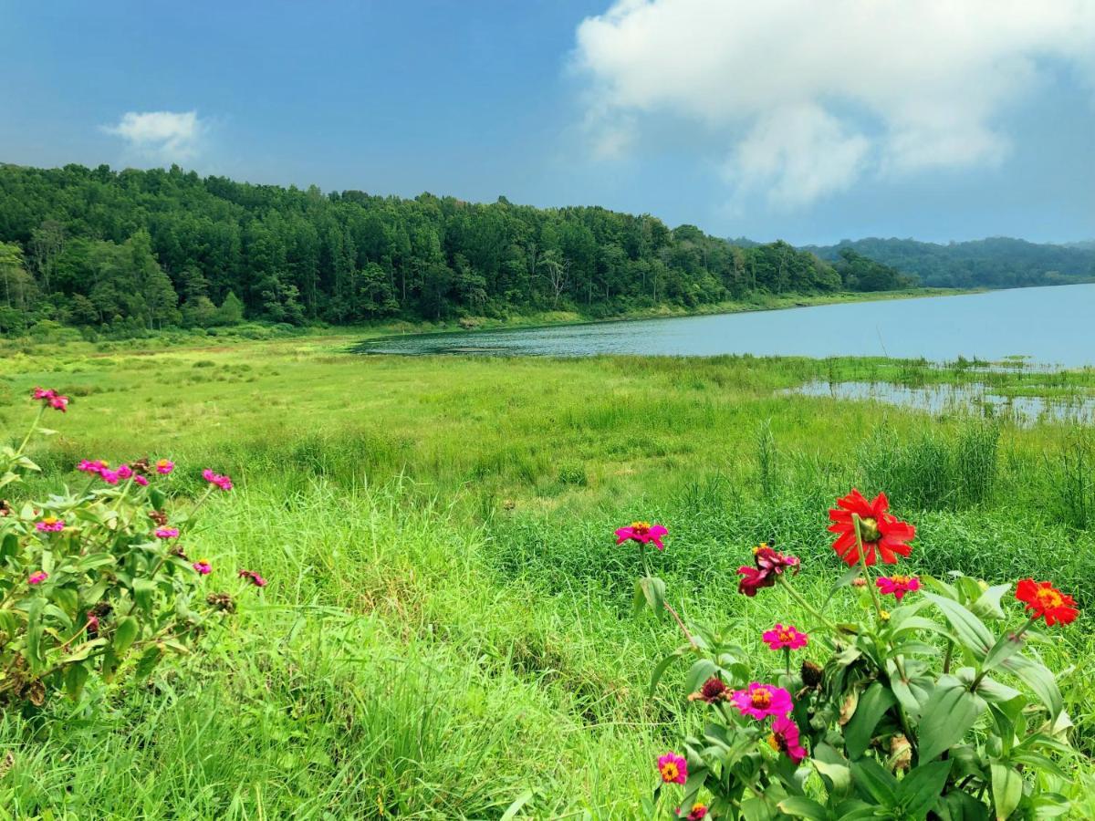 Buyan Lodge Lake View Villa ブドゥグル エクステリア 写真