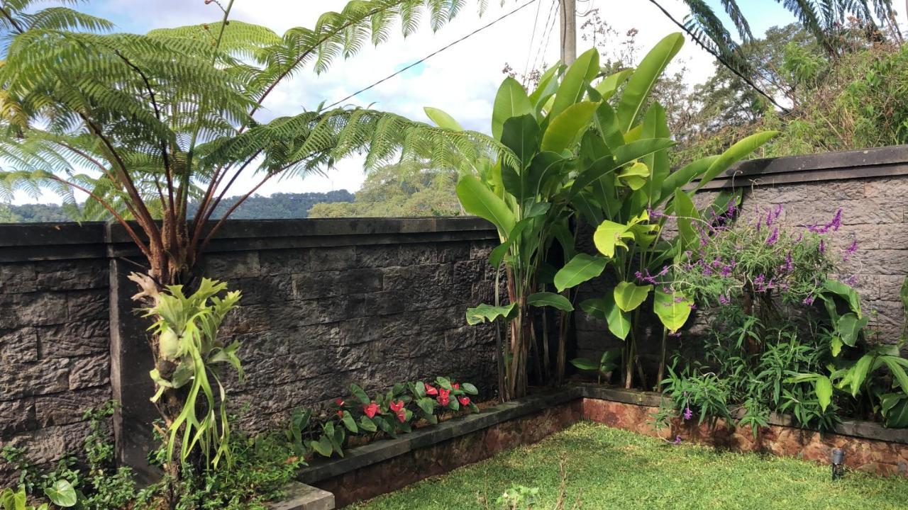 Buyan Lodge Lake View Villa ブドゥグル エクステリア 写真