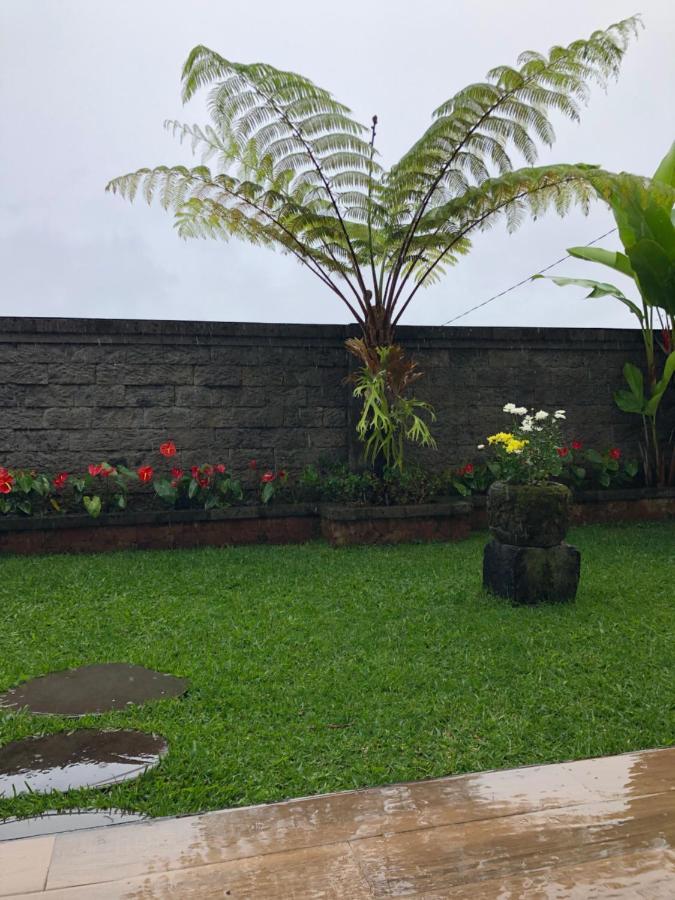 Buyan Lodge Lake View Villa ブドゥグル エクステリア 写真